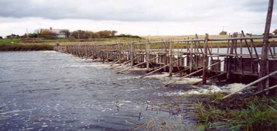 files/ffi/pictures/Dest/Latvia/salacgriva/more rivers/lamprey_weir.jpg